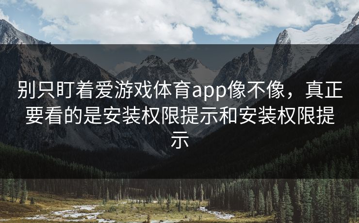 别只盯着爱游戏体育app像不像,真正要看的是安装权限提示和安装权限提示